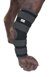 Labra dog rear leg hock wrap provides adjustable hind leg support.
