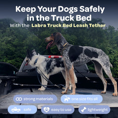 Labra truck bed leash system dual dogs image highlights double tether flexibility