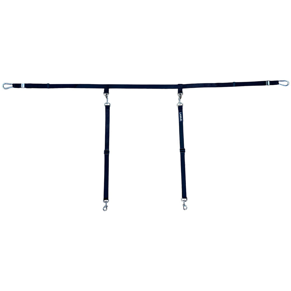 Labra truck bed leash system front view shows secure anchoring for safer car trips