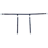 Labra truck bed leash system front view shows secure anchoring for safer car trips