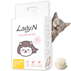 Lady N Cat Attract Tofu Litter box setup aids kitten training and stress relief.