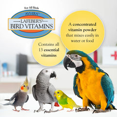 Pouring Avi-Era powder into water shows easy integration for birds.