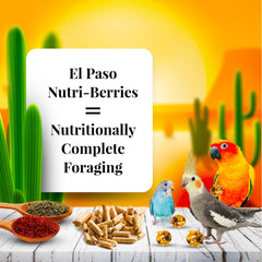Close-up of El Paso Nutri-Berries round pellets showing foraging-friendly shape.