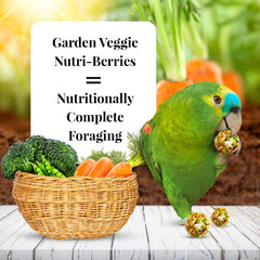 LAFEBER'S Garden Veggie Nutri-Berries close-up shows real carrot, pea and broccoli chunks