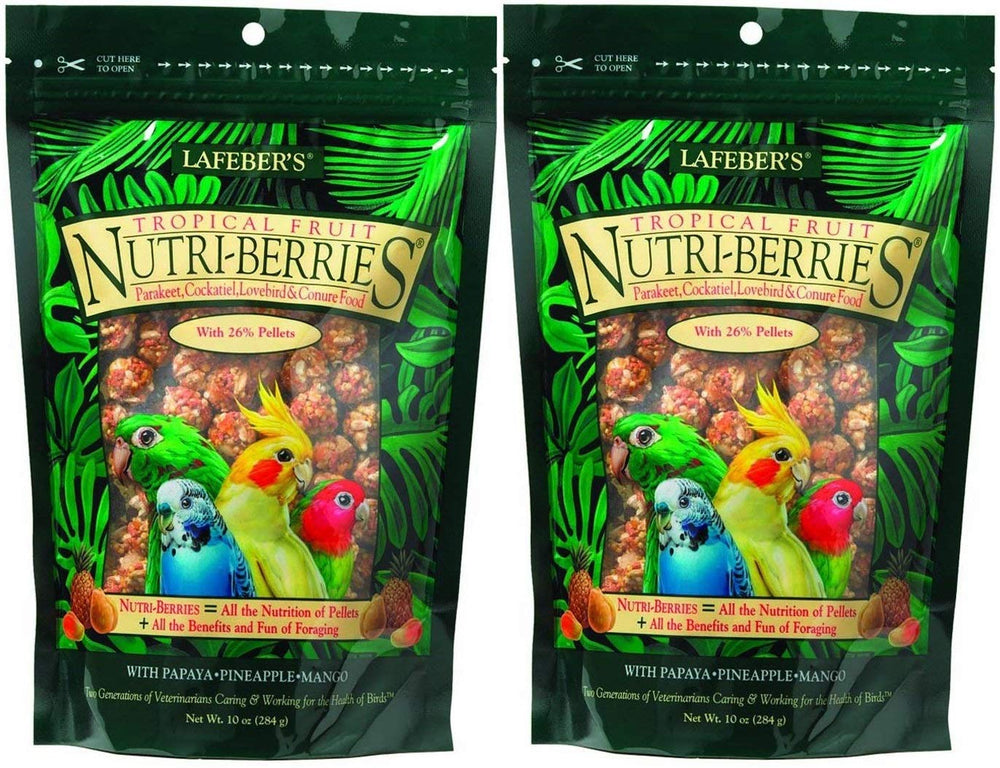 Lafeber's Gourmet Tropical Nutri-Berries for small birds; tasty nutrition in berry bites