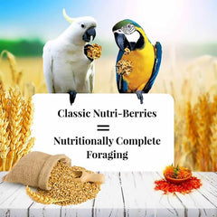 Lafeber's Nutri-Berries antioxidants and omega-3-6 balance for feathers.