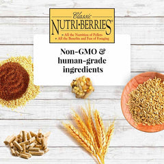 Ingredient label shows non-GMO, no artificial additives for Nutri-Berries.