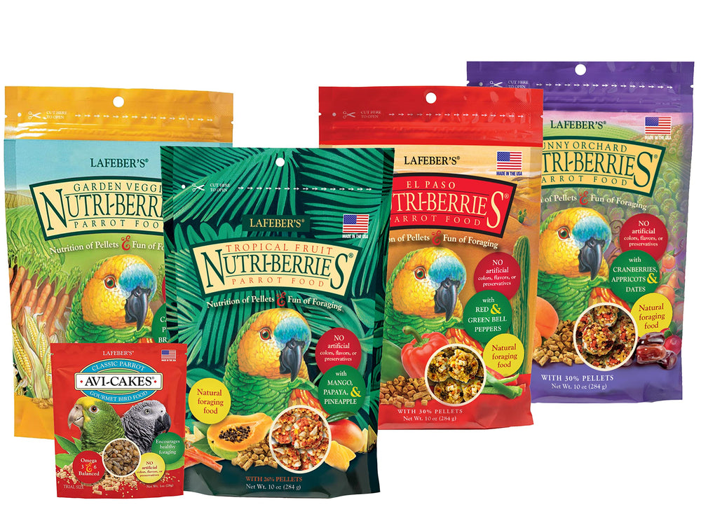 LAFEBER'S Nutri-Berries sampler bundle package hero for parrot variety