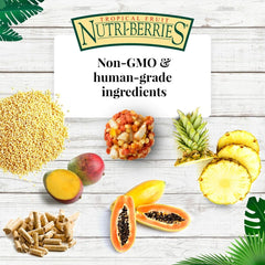 LAFEBER'S Tropical Fruit Nutri-Berries pack-shot highlights convenient 3 lb packaging.