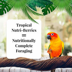 LAFEBER'S Tropical Fruit Nutri-Berries real fruit pieces highlight mango, papaya, and pineapple