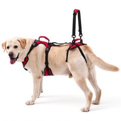 Lafoty Dog Lift Harness extralarge front view providing standing support for dogs.