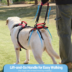 Lafoty Dog Lift Harness on stairs showing safe ascent with dual handles.