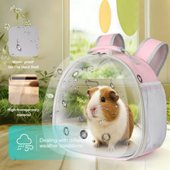 LAIRRIES carrier includes removable mat for easy cleaning and comfort.