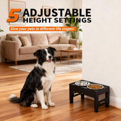 LAKIPETN elevated dog bowls two bowls: balanced feeding with easy cleaning.