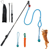 Lamfer Flirt Pole for dogs outdoors promotes active play and focus during sessions.