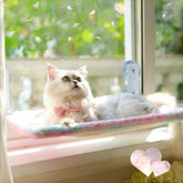 LANERmooos foldable cat window perch provides sunny lounging for indoor cats