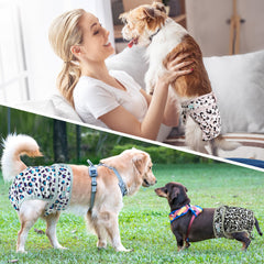 Langsprit dog diaper back-snap design supports customization and comfort