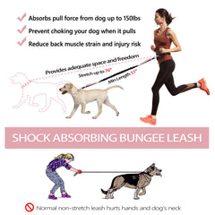 LANNEY bungee shock-absorbing leash reduces jerks for comfortable runs