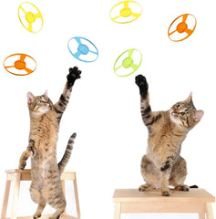 LAPOHI blue cat launchers duo ready for quick chase excitement.