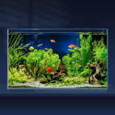 LAQUAL 10-gallon ultra-clear tank highlights vivid fish and plants with pristine low-iron glass