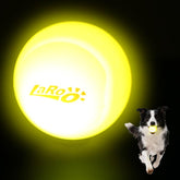 LaRoo LED dog ball glow for safe night fetch with small to medium dogs.