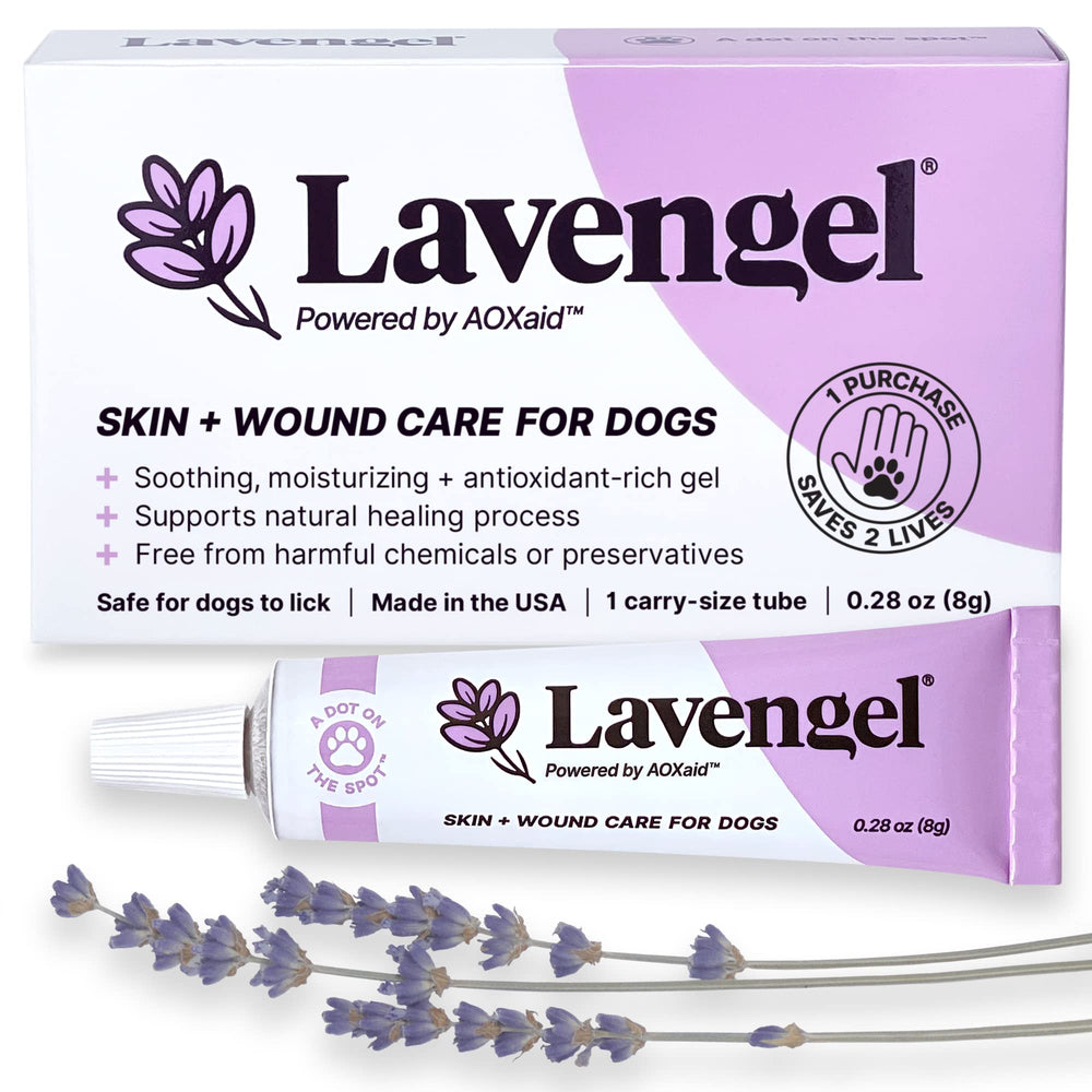 Lavengel dog ointment tube close-up for easy application.