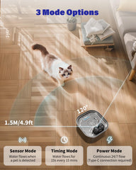 Lawfery water fountain ultra-quiet pump demonstrates peaceful drinking for pets