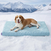 LE SURE cooling dog bed large front view shows instant cool and support