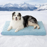 LE SURE cooling dog bed XL - front view showing breathable surface for large dogs