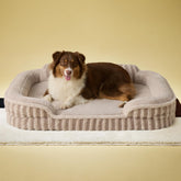 LE SURE Cute Dog Bed with egg crate foam for comfortable joint support and plush lounging.