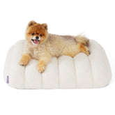 LE SURE Cute Orthopedic Dog Bed in cream with egg-crate foam for restful naps.