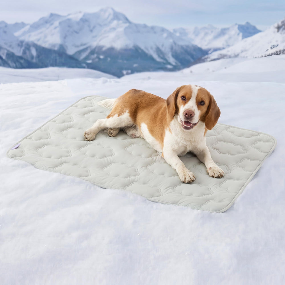LE SURE dog cooling mat 36x27 inches gray on floor provides instant surface cooling.