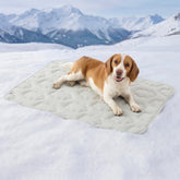 LE SURE dog cooling mat 36x27 inches gray on floor provides instant surface cooling.