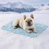 LE SURE dog cooling mat top view in blue for a refreshing resting spot.