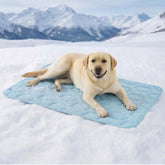 LE SURE XL blue dog cooling mat lying down for cooling comfort