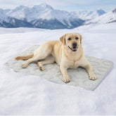 LE SURE XL dog cooling mat cool-top delivers fast on-contact relief for dogs.