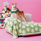 LE SURE waterproof blanket for large dogs with jacquard shag protects furniture.
