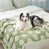 LE SURE waterproof dog blanket on couch protecting furniture from spills.