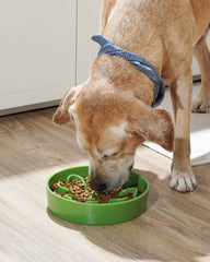 LE TAUCI ceramic dog bowl with non-slip base keeping bowls steady.