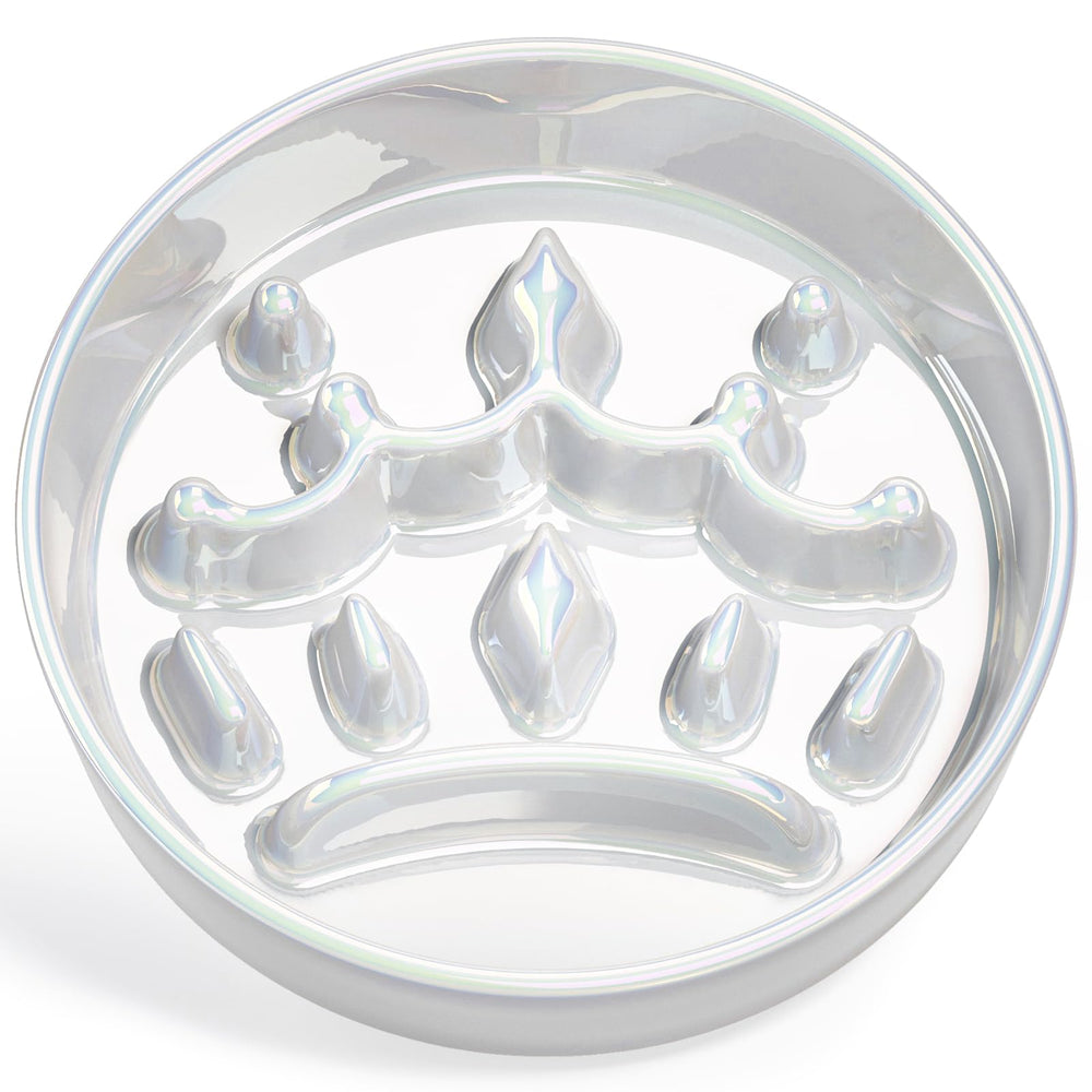 LE TAUCI ceramic slow-feeder bowl for small dogs with ridges and maze slows eating for calmer meals.