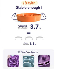 LE TAUCI dishwasher-safe ceramic bowl for convenient cleaning after meals.