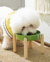LE TAUCI elevated wooden stand keeps feeding at a comfortable height.