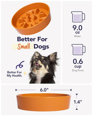 LE TAUCI small-breed microwave-safe dish for quick reheating.