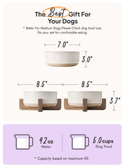 LE TAUCI PET ceramic dog bowl with full setup, 5-cup capacity.