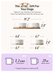 LE TAUCI PET water bowl with narrow rim reduces spills
