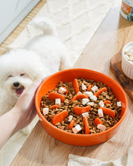 LE TAUCI sun orange ceramic bowl with non-slip base supports stable mealtimes.