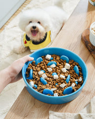 LE TAUCI vortex blue dog bowl with maze design slows fast eaters.