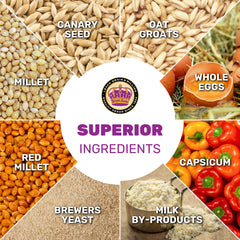 Close-up of ingredients like millet and oats in Parakeet Food Plus