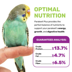 Serving bowl with Parakeet Food Plus for easy daily feeding