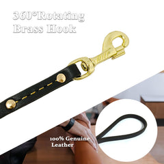 Leadfar 360-degree rotating hook leash demonstrating tangle-free walking